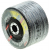 Круг лепестковый Werk 125MM*22,2, A80, конический Т29 - 10 шт