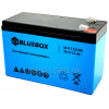 Аккумулятор Bluebox TB-12-7,2-AA