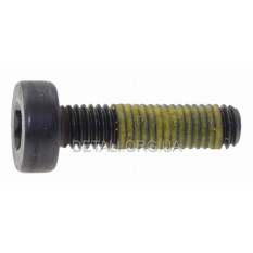 Винт глушителя бензопилы ECHO CS-600 TORX5