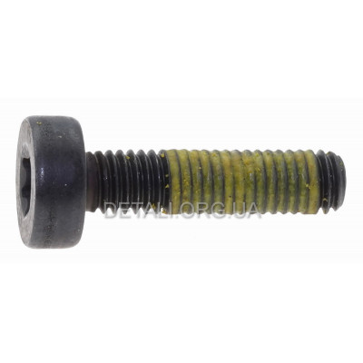 Винт глушителя бензопилы ECHO CS-600 TORX5