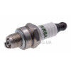 Свічка запалювання TORCH CMR6A (L49 M10)
