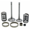 Клапаны (пара) мотоблока 177F (9Hp) (mod.A) d6 L80 + 80
