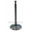 Впускний клапан генератора, мотоблока 192F