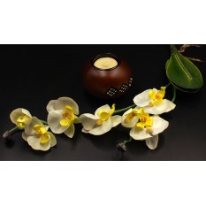 Искусственные цветы «Орхидея с корнем» белая