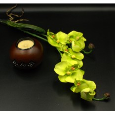 Искусственные цветы «Орхидея с корнем» зеленая