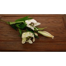 Искусственные цветы лилия белая на ветке 3шт.